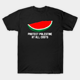 Protect Palestine At All Costs - Fuck Israel T-Shirt